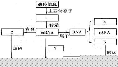 航天信息取得单向传输系统相关专利实现卫星无下行时UE数据有效传输(图1)