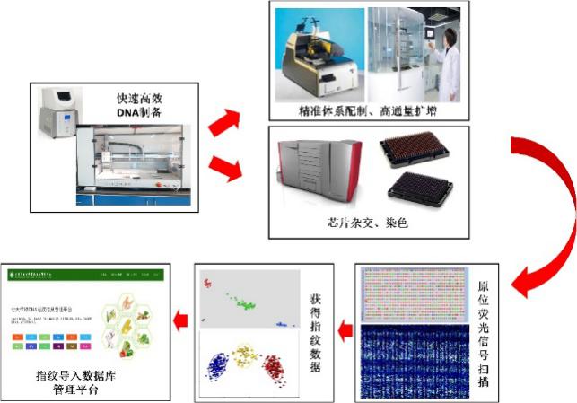 最复杂、速度最快的分子计算机诞生可实现100比特、连续25次不同运算(图1)