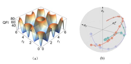 科学家提出量子纠错码计量性能优化新方法(图1)
