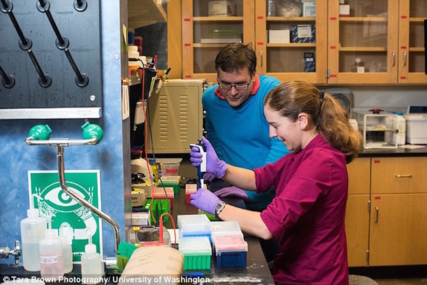 微软黑科技：DNA存储技术催生方糖大小的数据中心(图2)