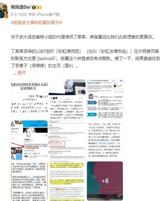 武大杨景媛案子再升级！幕后律师团被扒曾勾结境外势力反中(图10)