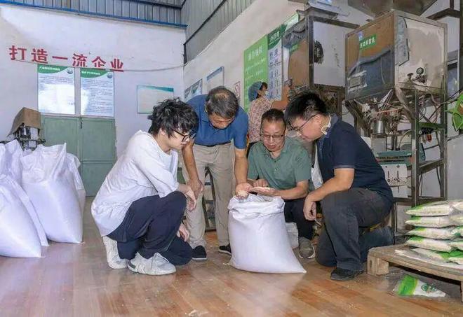 【走近新质生产力】种子是农业的“芯片”一粒稻米被“重写”DNA(图2)