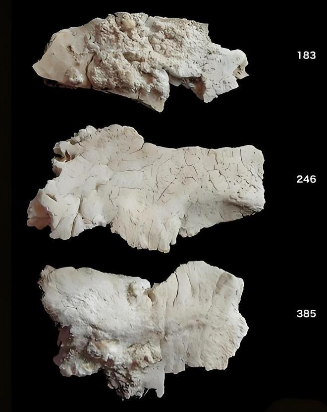 石峁遗址贵族DNA基因被成功检测出来这里真的是黄帝的遗址吗？(图2)