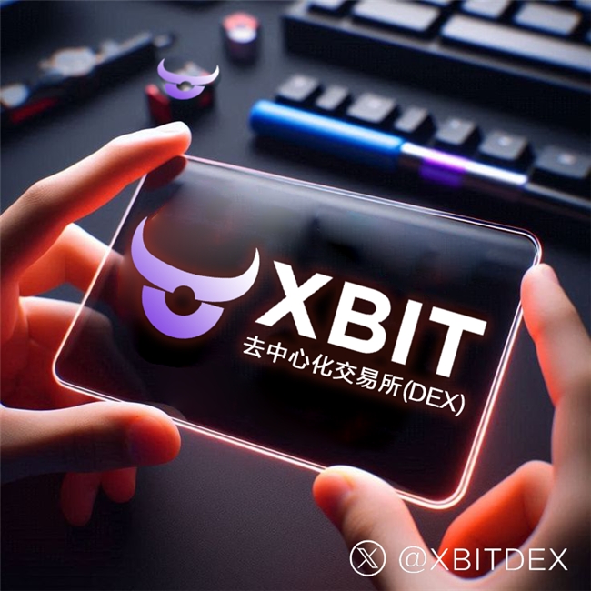 财库模式催生山寨币钱包变革：XBITWallet引领安全存储升级(图2)