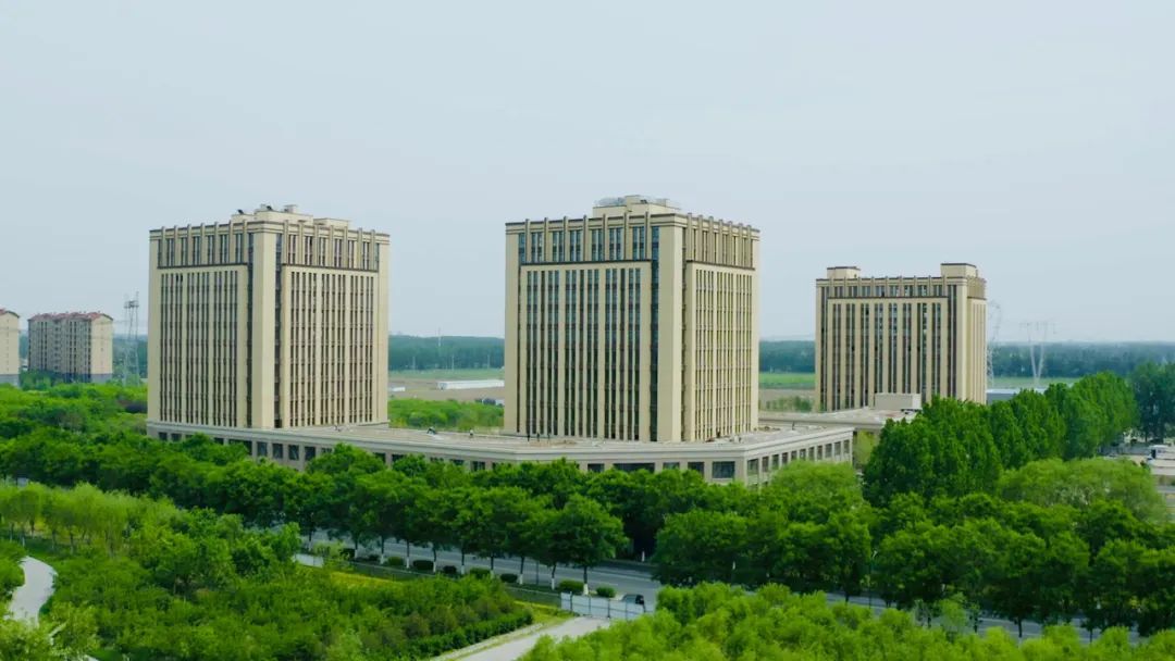 种业之都北京振兴步履铿锵！(图7)