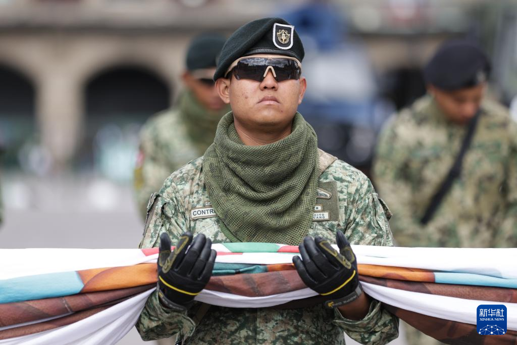 墨西哥举行独立日阅兵(图4)