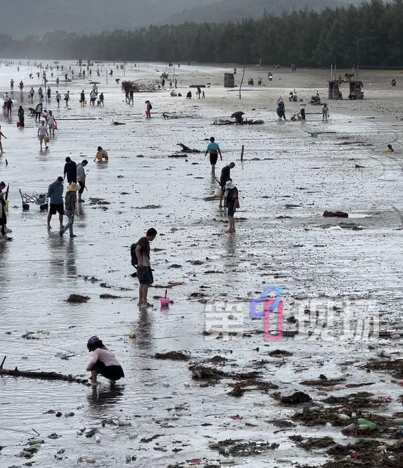 台风卷来一地海鲜能捡回家吃吗？专家提醒→(图2)