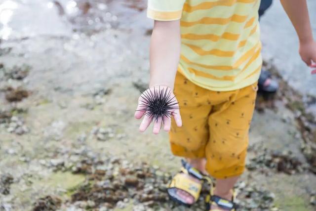 台风卷来一地海鲜能捡回家吃吗？专家提醒→(图3)