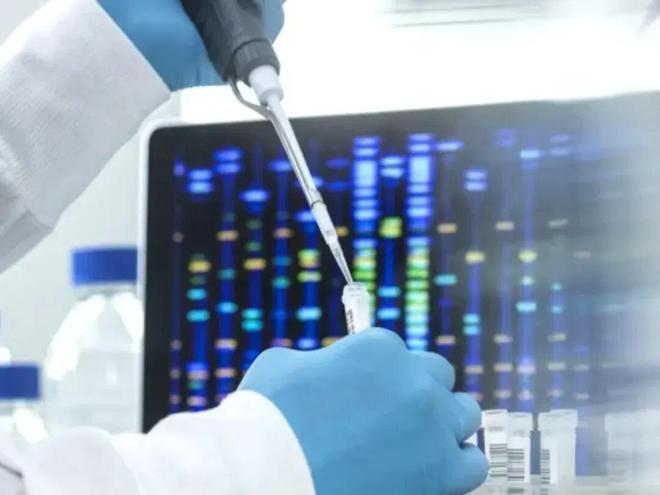 这里全城采集男性DNA“Y库”究竟是啥(图14)