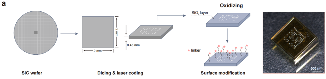 华大发布DNA合成新技术将催生合成生物产业巨大潜能(图3)