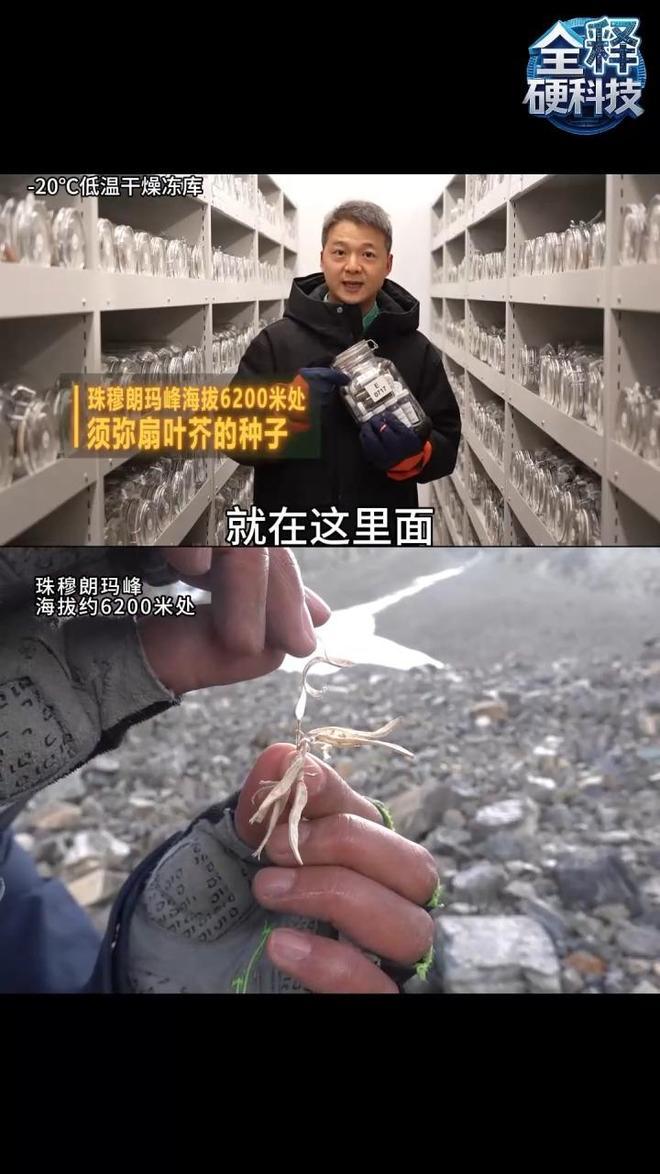 中国建成亚洲最大野生植物种质资源库保存10万份野生植物种子(图3)