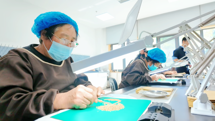 十五年摸清林草种质资源“家底”山东为何“死磕”小种子？(图4)