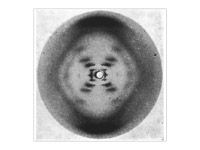 DNA之父去世享年97岁！AI生物学的序章因他开启(图7)