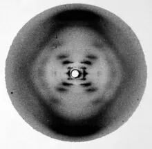 巨星陨落！DNA双螺旋结构共同发现者詹姆斯·沃森逝世(图4)