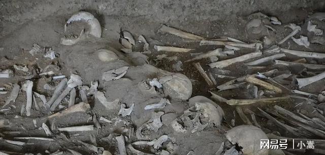 日本京都大学藏有466具琉球人遗骨古DNA揭开真相祖先是山东人(图4)