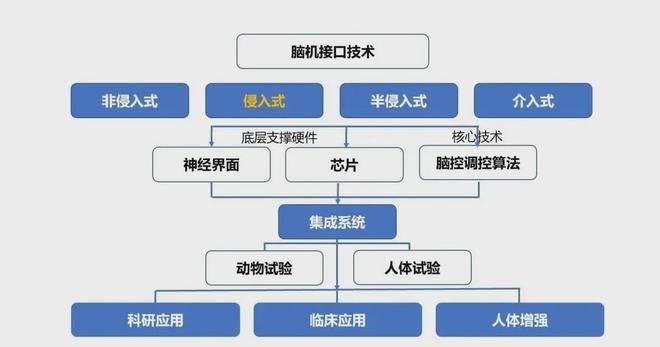 马斯克放线年内或实现数字永生是科技狂想还是未来已来(图2)