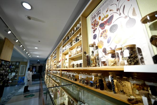 国家野生植物库辰山中心：种子存量突破一亿粒(图3)