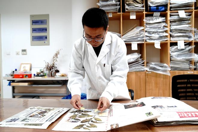 国家野生植物库辰山中心：种子存量突破一亿粒(图2)