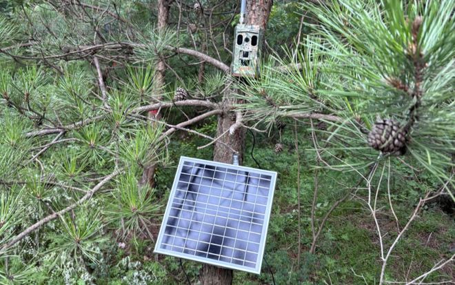 全市率先！门头沟建成生物多样性保护智慧化监测平台(图6)