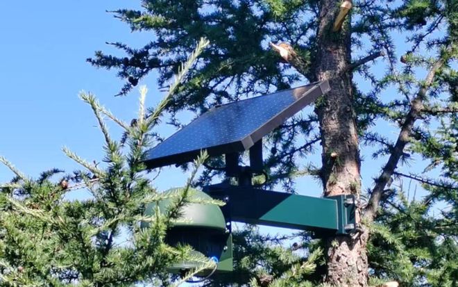 全市率先！门头沟建成生物多样性保护智慧化监测平台(图2)