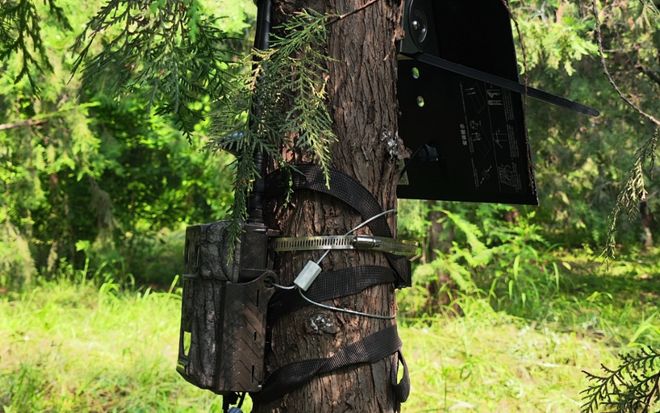 全市率先！门头沟建成生物多样性保护智慧化监测平台(图4)