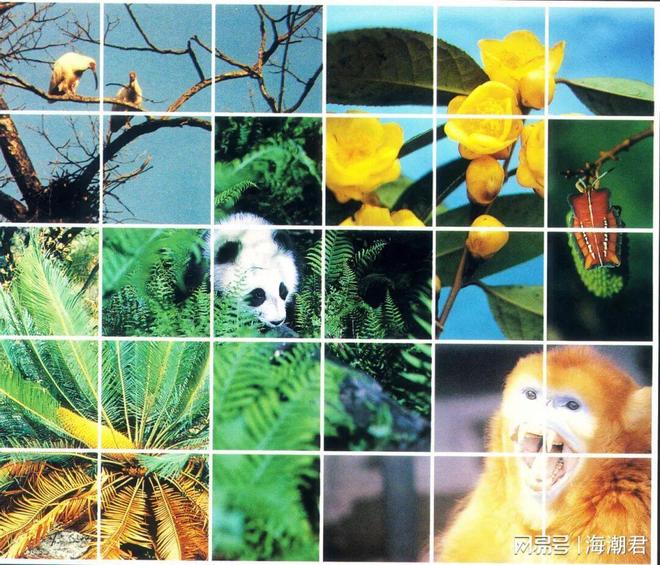 CBD公约生物安全能力建设在线论坛聚焦活体转基因生物风险评估(图5)