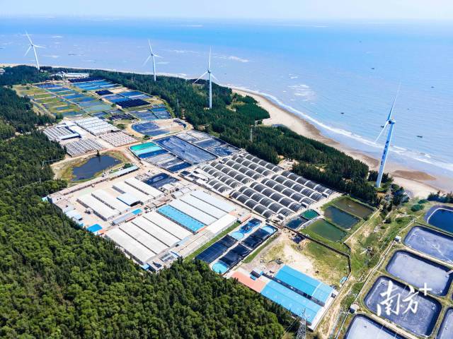 芯路径芯力量——广东种业振兴“五年见成效”创新实践(图3)