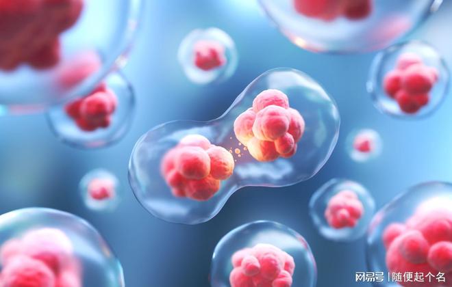 干细胞储存服务优选河南省华隆生物技术专业干细胞保存新生儿(图2)